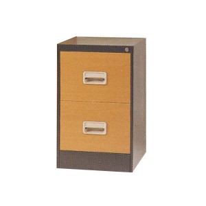 대한철제가구 > 철제서랍장/파일서랍장  > 대한철제가구 DHSF138 철제화일박스(2단,필름부착)
